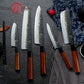 DAMARA Professional Japanese Knife Set - 5 Pieces | AUS10 Steel Core | Hand Forged Kitchen Knives