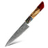 Premium Kitchen Knife with Resin Handle and AUS-10 Core